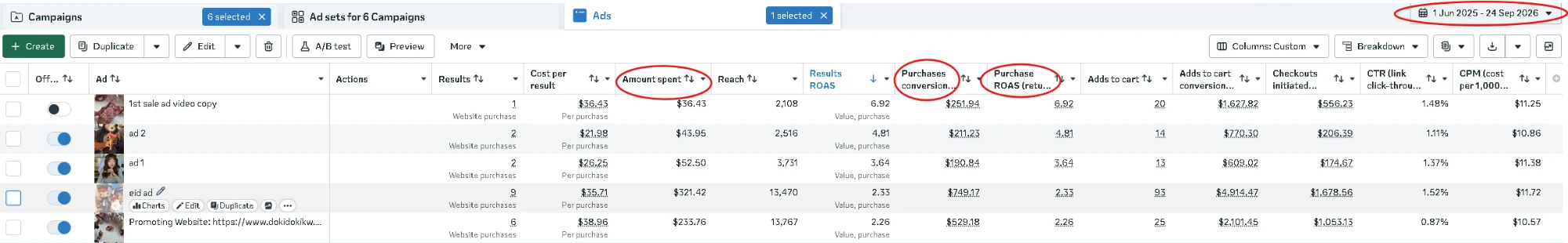 Doki Doki Meta Ads Manager results
