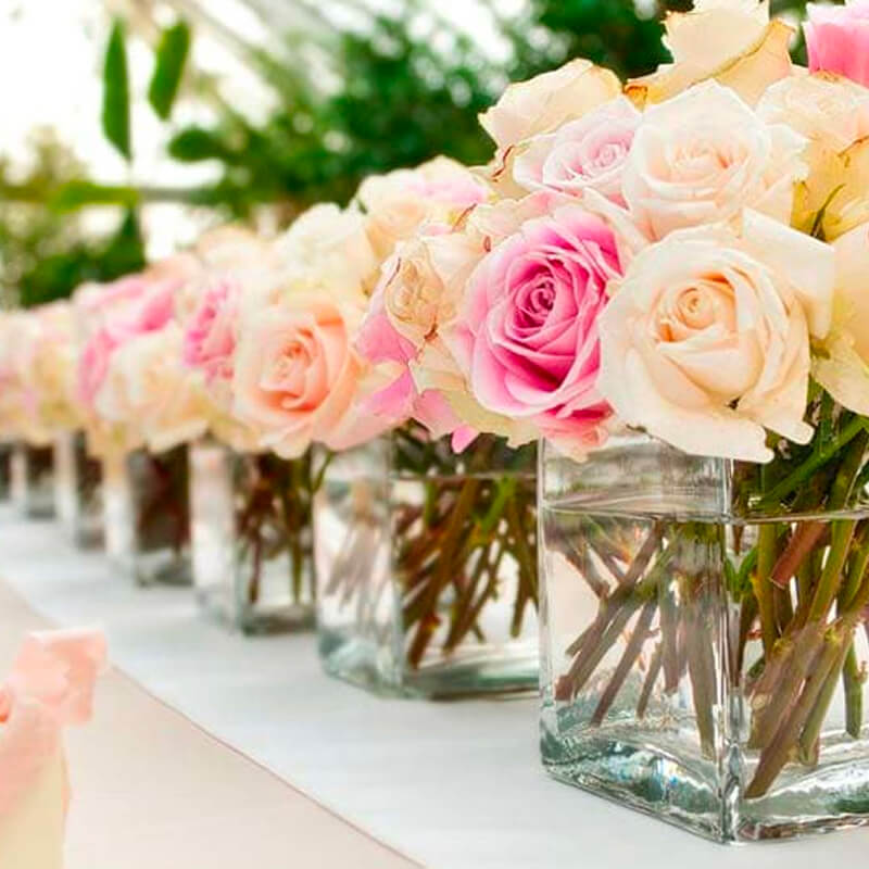 ecom-no-replace-5rUr35EvXdfl-cl-5